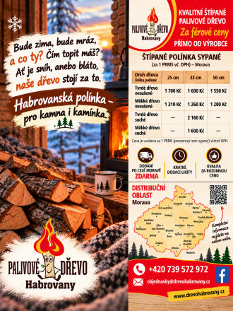 dřevo