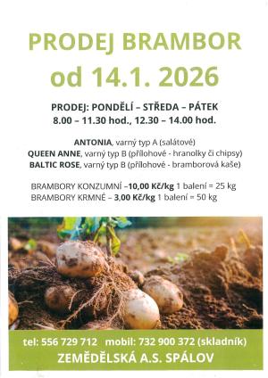 prodej brambor